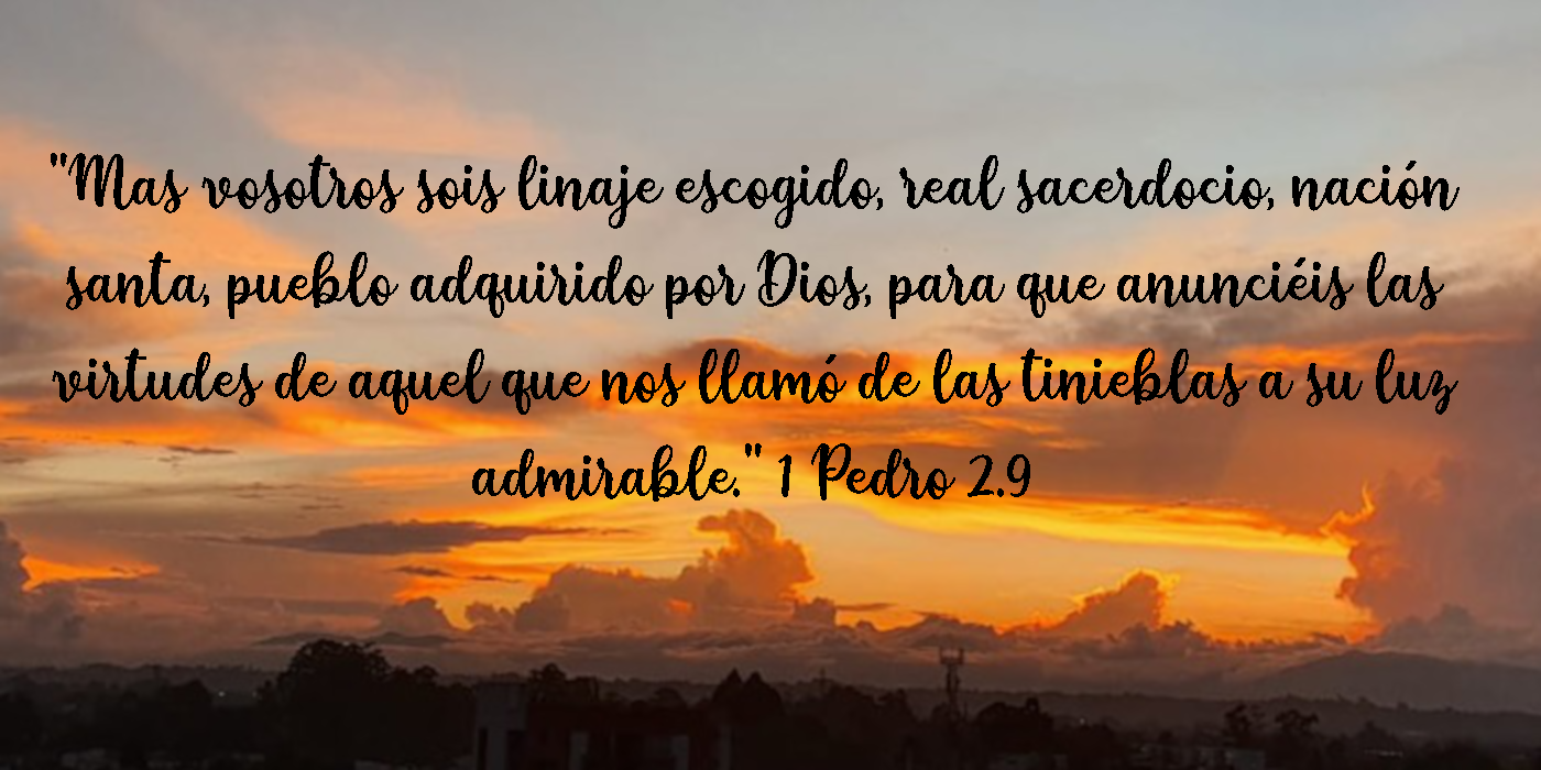 imagen2